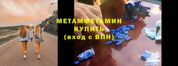гидра Богданович