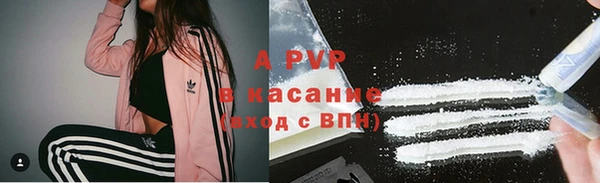 ГАЛЛЮЦИНОГЕННЫЕ ГРИБЫ Белокуриха