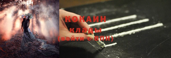 ГАЛЛЮЦИНОГЕННЫЕ ГРИБЫ Белокуриха