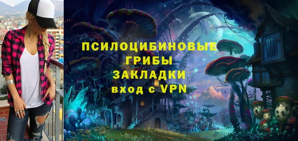 ГАЛЛЮЦИНОГЕННЫЕ ГРИБЫ Белокуриха