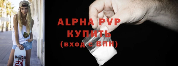ГАЛЛЮЦИНОГЕННЫЕ ГРИБЫ Белокуриха