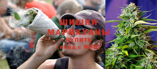 гидра Богданович