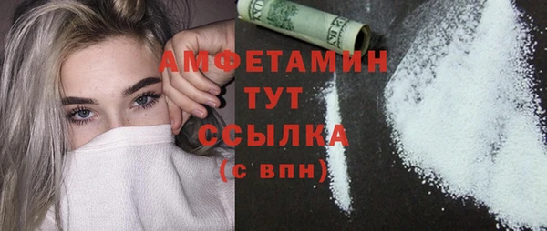 гидра Богданович