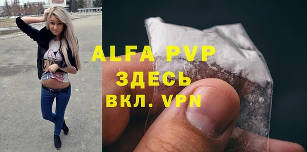 ГАЛЛЮЦИНОГЕННЫЕ ГРИБЫ Белокуриха