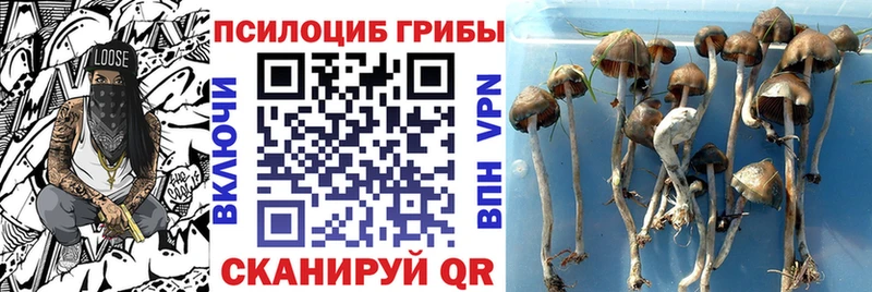 Псилоцибиновые грибы мицелий  ссылка на мегу ссылка  Белый 